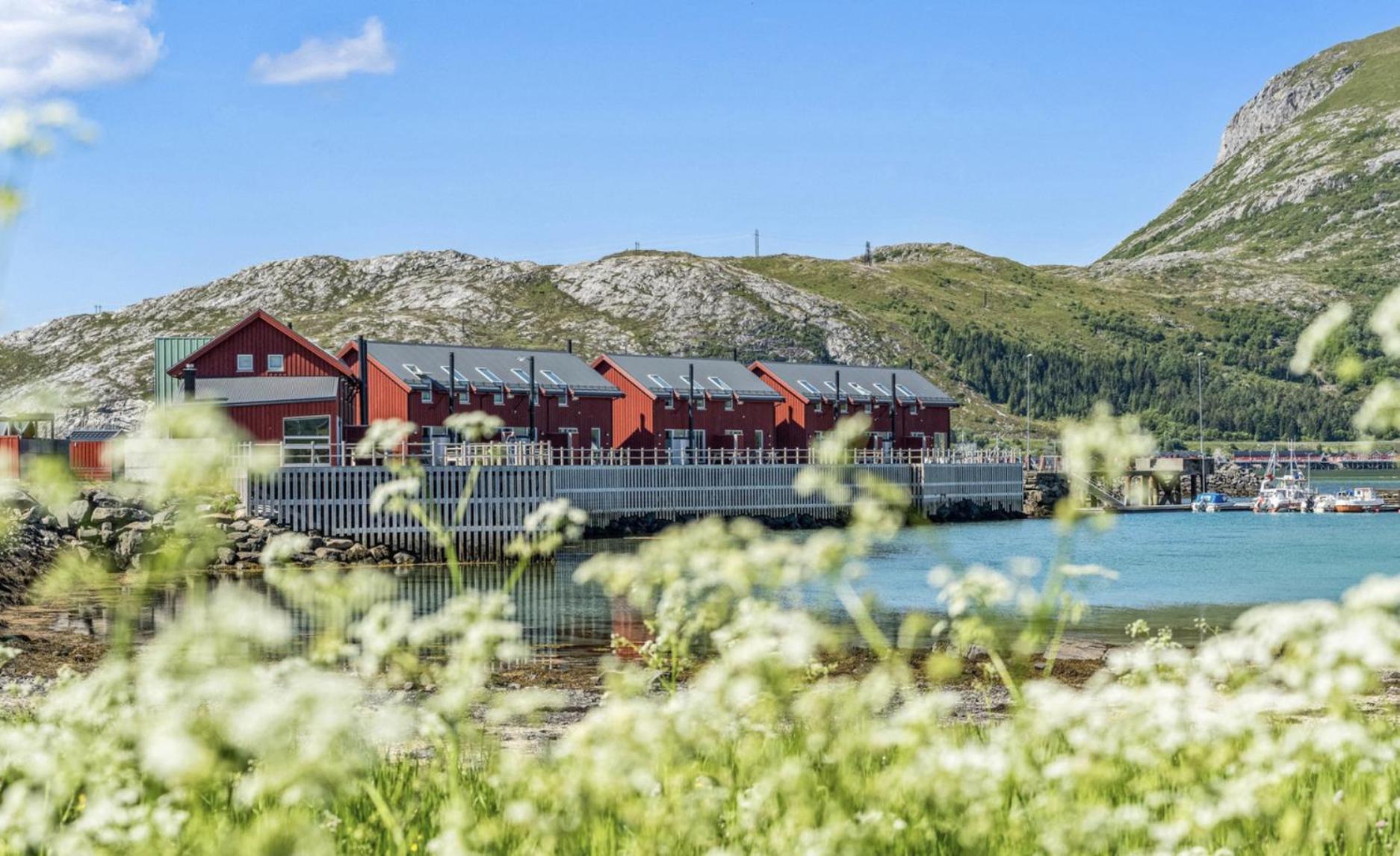 Sjarmerende Rorbu I Lofoten Lejlighed Haug